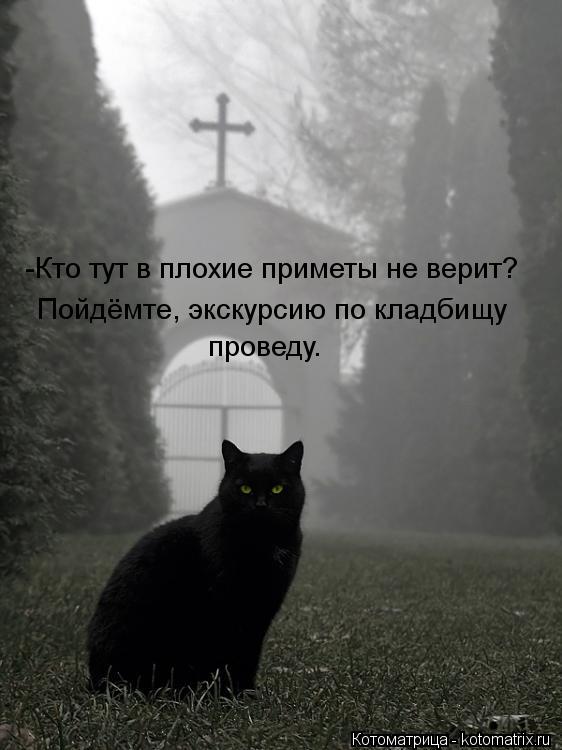 Котоматрица: -Кто тут в плохие приметы не верит? Пойдёмте, экскурсию по кладбищу проведу.