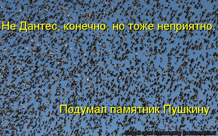 Не Дантес, конечно, но тоже неприятно. Подумал памятник Пушкину... Котоматрица: Не Дантес, конечно, но тоже неприятно. Подумал памятник Пушкину