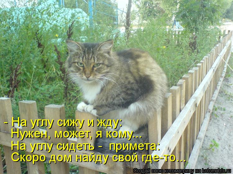 Котоматрица: - На углу сижу и жду: Нужен, может, я кому... На углу сидеть -  примета: Скоро дом найду свой где-то...