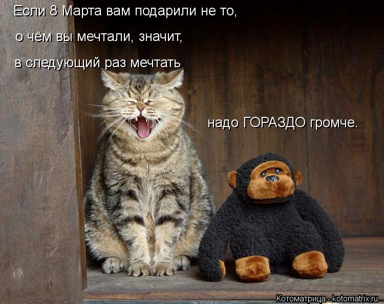 Котоматрица: Если 8 Марта вам подарили не то, о чём вы мечтали, значит, в следующий раз мечтать надо ГОРАЗДО громче.