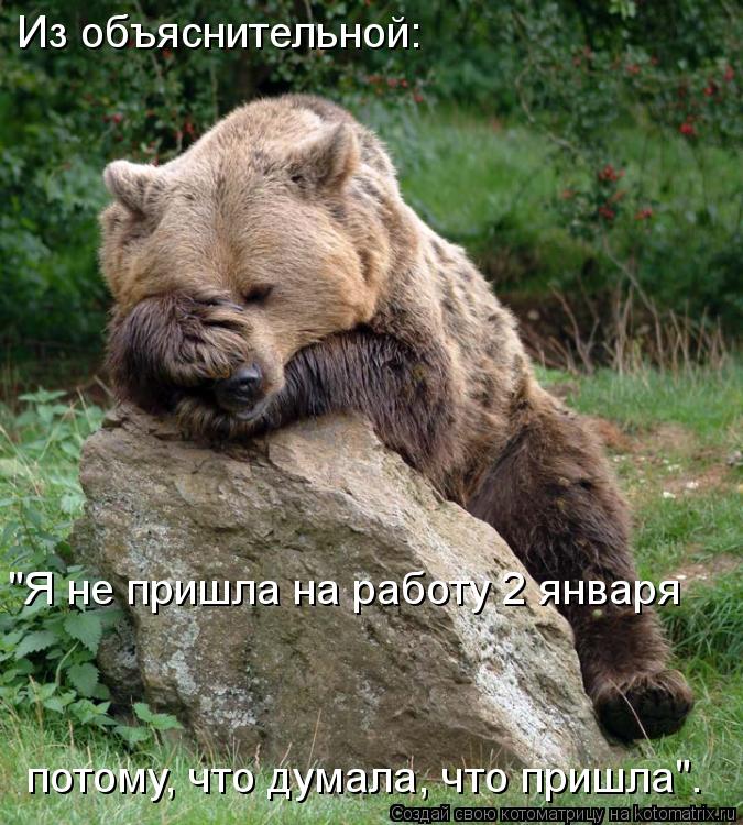 Котоматрица: Из объяснительной: "Я не пришла на работу 2 января  потому, что думала, что пришла".