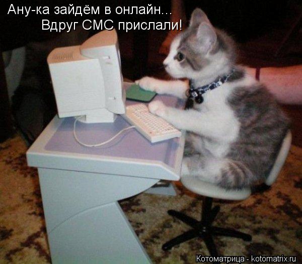Котоматрица: Ану-ка зайдём в онлайн... Вдруг СМС прислали!