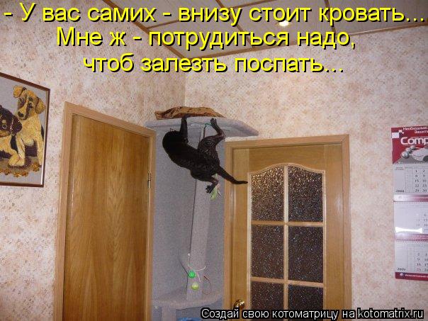 Котоматрица: - У вас самих - внизу стоит кровать... Мне ж - потрудиться надо, чтоб залезть поспать...