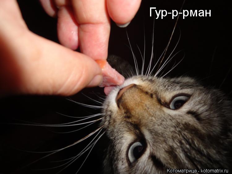 Котоматрица: Гур-р-рман
