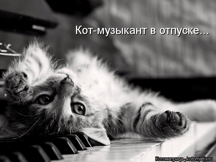 Котоматрица: Кот-музыкант в отпуске...