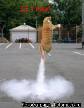 Котоматрица: 3,2,1 пуск!