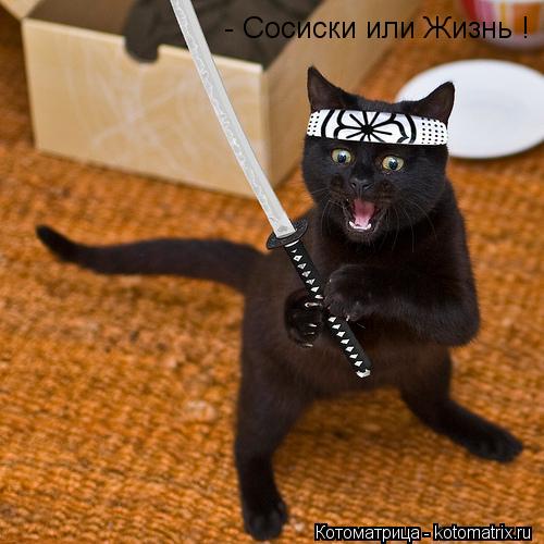 Котоматрица: - Сосиски или Жизнь !