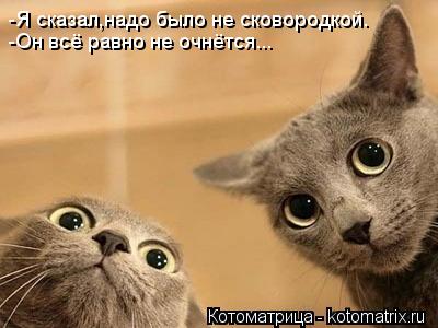-Я сказал,надо было не сковородкой. -Он всё равно не очнётся...... Котоматрица: -Я сказал,надо было не сковородкой. -Он всё равно не очнётся...