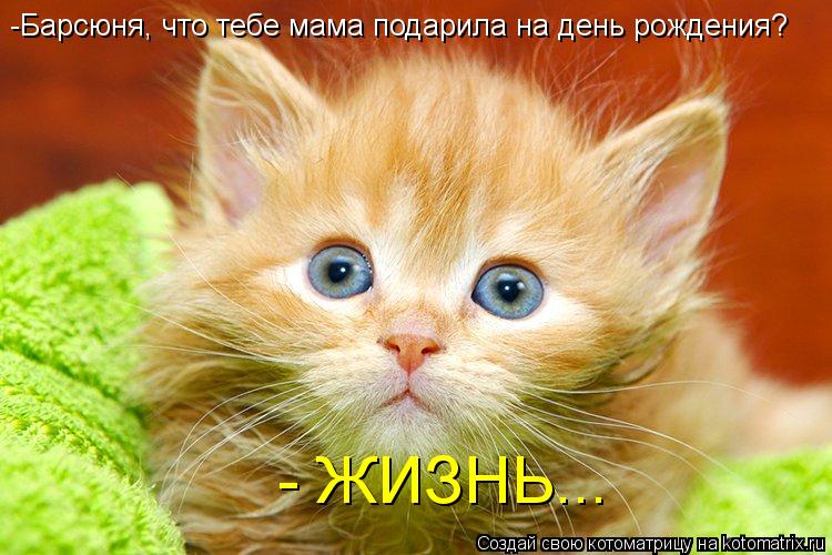 Котоматрица: -Барсюня, что тебе мама подарила на день рождения? - ЖИЗНЬ...
