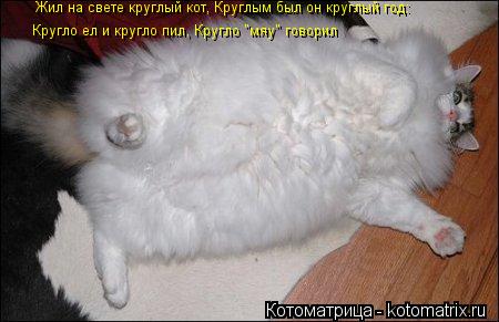 Котоматрица: Кругло ел и кругло пил, Кругло "мяу" говорил Жил на свете круглый кот, Круглым был он круглый год: