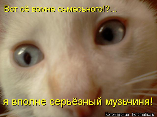Котоматрица: Вот сё вомне сьмесьного!?... я вполне серьёзный музьчиня!