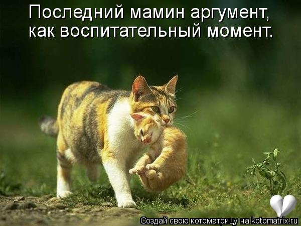Котоматрица: Последний мамин аргумент, как воспитательный момент.