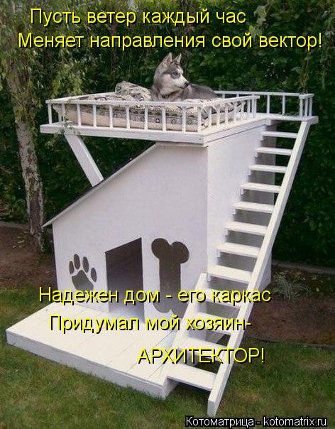 Котоматрица: Пусть ветер каждый час  Меняет направления свой вектор! Надежен дом - его каркас Придумал мой хозяин- АРХИТЕКТОР!