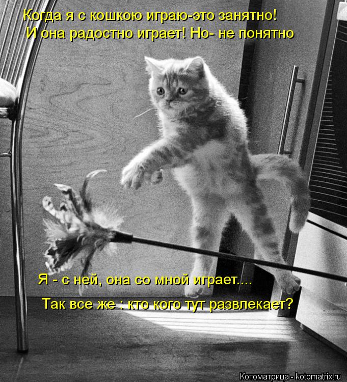 Котоматрица: Когда я с кошкою играю-это занятно! И она радостно играет! Но- не понятно Я - с ней, она со мной играет.... Так все же : кто кого тут развлекает?