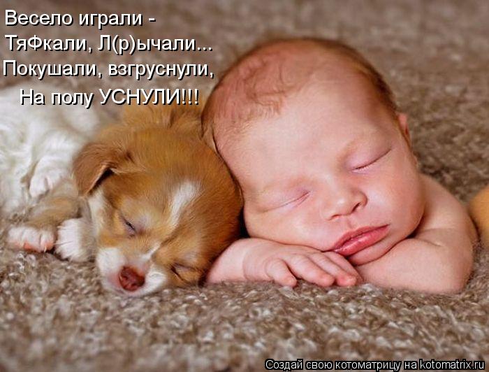 Весело играли - ТяФкали, Л(р)ычали... Покушали, взгруснули, На полу УСНУЛИ!!!... Котоматрица: Весело играли - ТяФкали, Л(р)ычали... Покушали, взгруснули, На полу УСНУЛИ!!!
