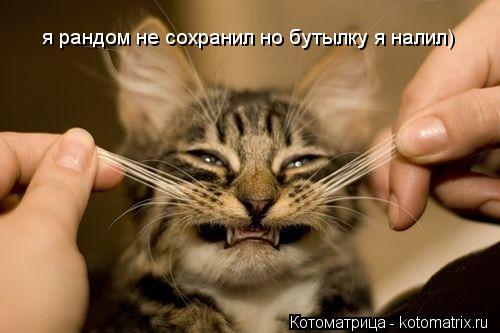 Котоматрица: я рандом не сохранил но бутылку я налил)
