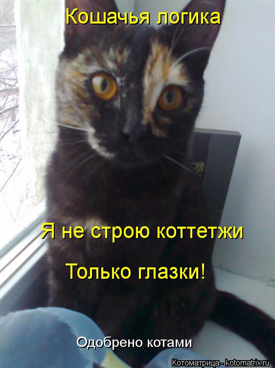 Котоматрица: Я не строю коттетжи Только глазки! Кошачья логика Одобрено котами
