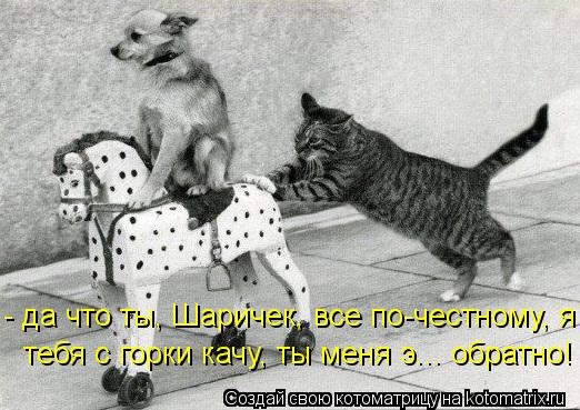 - да что ты, Шаричек, все по-честному, я тебя с горки качу, ты меня э... обратно!... Котоматрица: - да что ты, Шаричек, все по-честному, я тебя с горки качу, ты меня э... обратно!