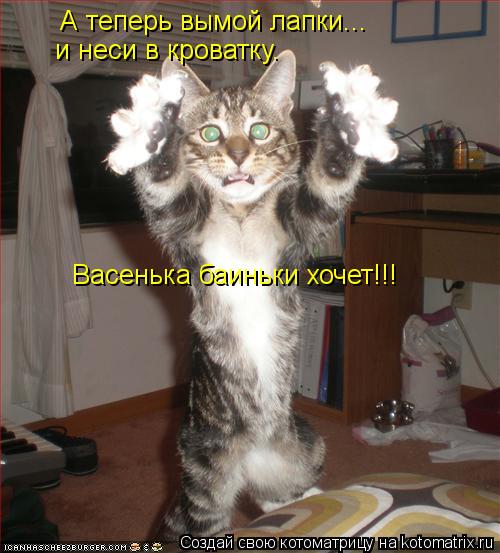 Котоматрица: А теперь вымой лапки... и неси в кроватку. Васенька баиньки хочет!!!