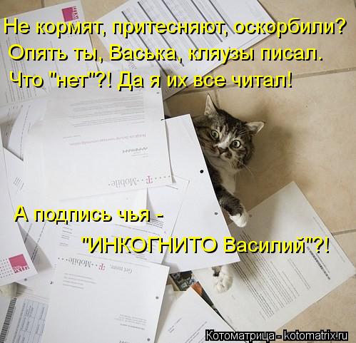 Не кормят, притесняют, оскорбили? Опять ты, Васька, кляузы писал. Что "нет"?! Да я их все читал! А по... Котоматрица: Не кормят, притесняют, оскорбили? Опять ты, Васька, кляузы писал. Что "нет"?! Да я их все читал! А подпись чья - "ИНКОГНИТО Василий"?!