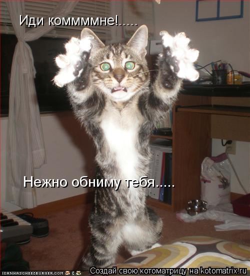 Котоматрица: Иди коммммне!..... Нежно обниму тебя.....