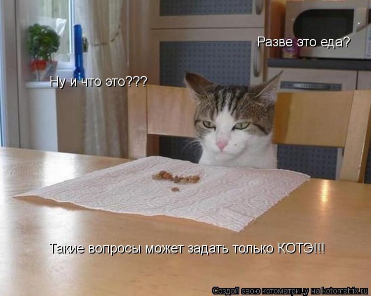 Котоматрица: Ну и что это??? Разве это еда? Такие вопросы может задать только КОТЭ!!!