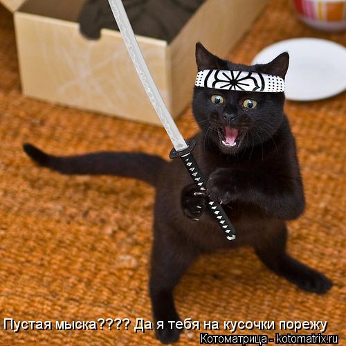 Пустая мыска???? Да я тебя на кусочки порежу... Котоматрица: Пустая мыска???? Да я тебя на кусочки порежу