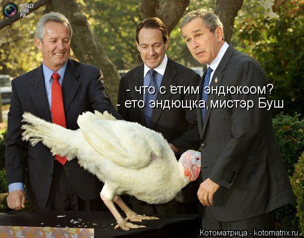 Котоматрица: что с етим эндюкоом? ето эндющка,мистэр Буш - -