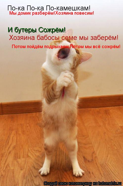 Котоматрица: По-ка По-ка По-камешкам! И бутеры Сожрём! Хозяина бабосы семе мы заберём! Мы домик разберём!Хозяина повесим! Потом пойдём подрыхаем.Потом мы 
