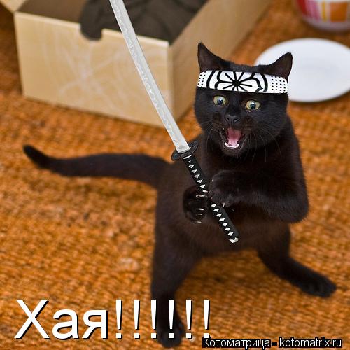 Котоматрица: Хая!!!!!!
