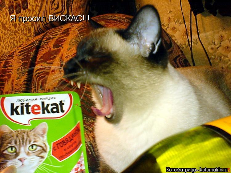 Я просил ВИСКАС!!!... Котоматрица: Я просил ВИСКАС!!!