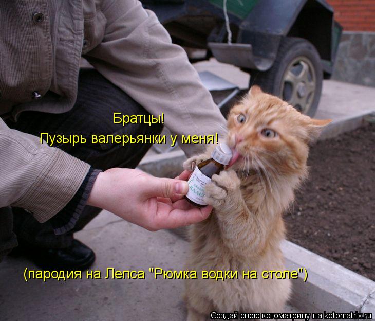 Братцы! Пузырь валерьянки у меня! (пародия на Лепса "Рюмка водки на столе")... Котоматрица: Братцы! Пузырь валерьянки у меня! (пародия на Лепса "Рюмка водки на столе")