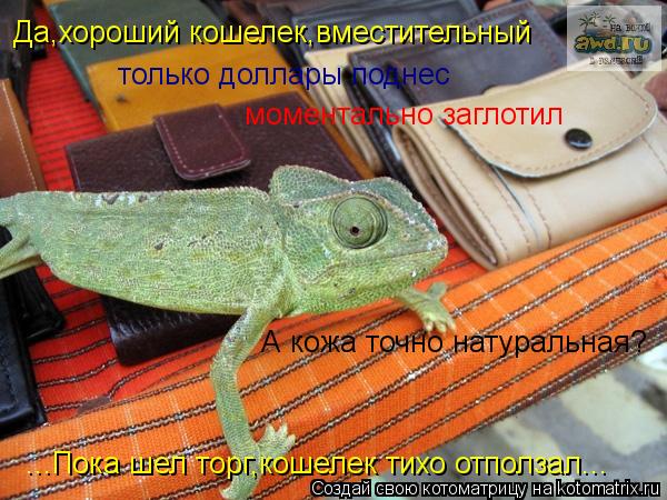 Котоматрица: Да,хороший кошелек,вместительный только доллары поднес моментально заглотил А кожа точно натуральная? ...Пока шел торг,кошелек тихо отполз