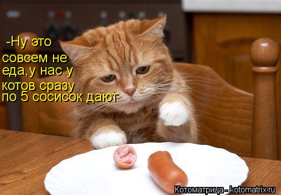 Котоматрица: -Ну это  совсем не еда,у нас у котов сразу по 5 сосисок дают