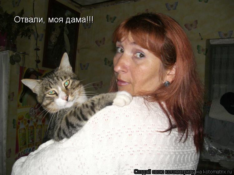 Котоматрица: Отвали, моя дама!!!