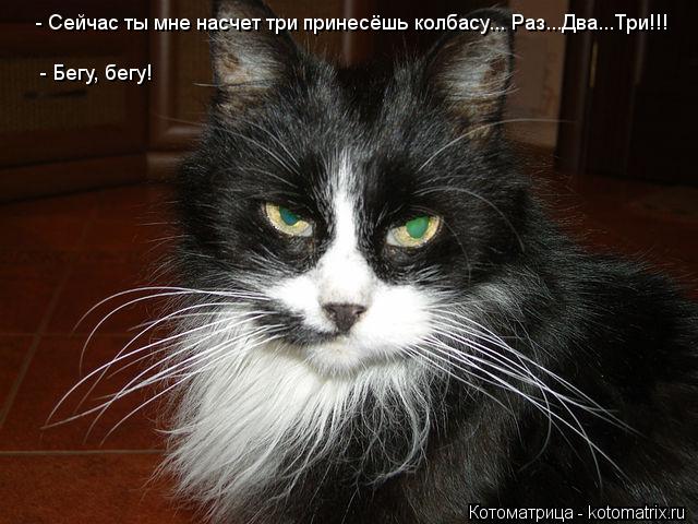 Котоматрица: - Бегу, бегу! - Сейчас ты мне насчет три принесёшь колбасу... Раз...Два...Три!!!