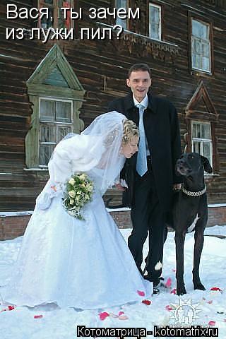 Котоматрица: Вася, ты зачем  из лужи пил?