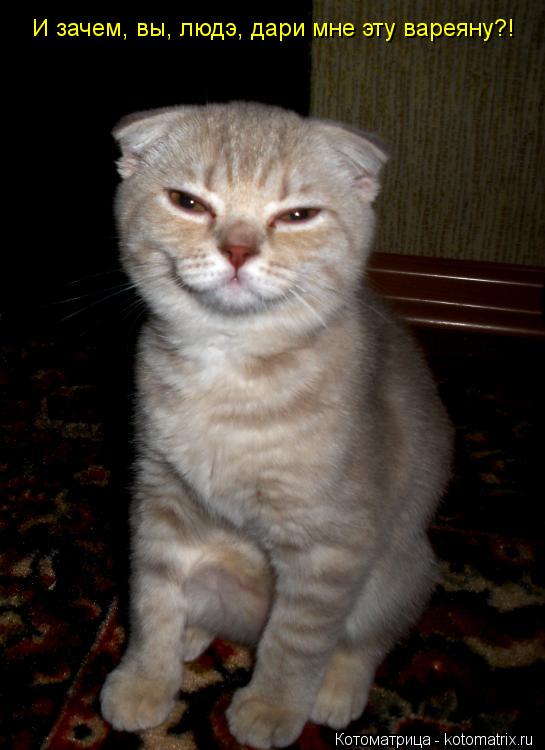 Котоматрица: И зачем, вы, людэ, дари мне эту вареяну?!