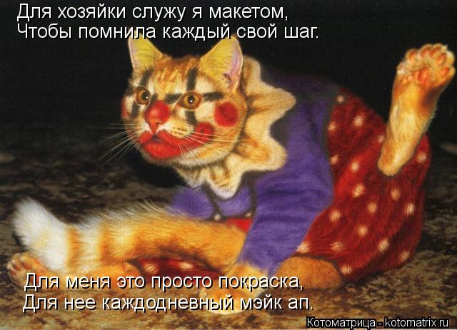 Котоматрица: Для хозяйки служу я макетом, Чтобы помнила каждый свой шаг. Для меня это просто покраска, Для нее каждодневный мэйк ап.