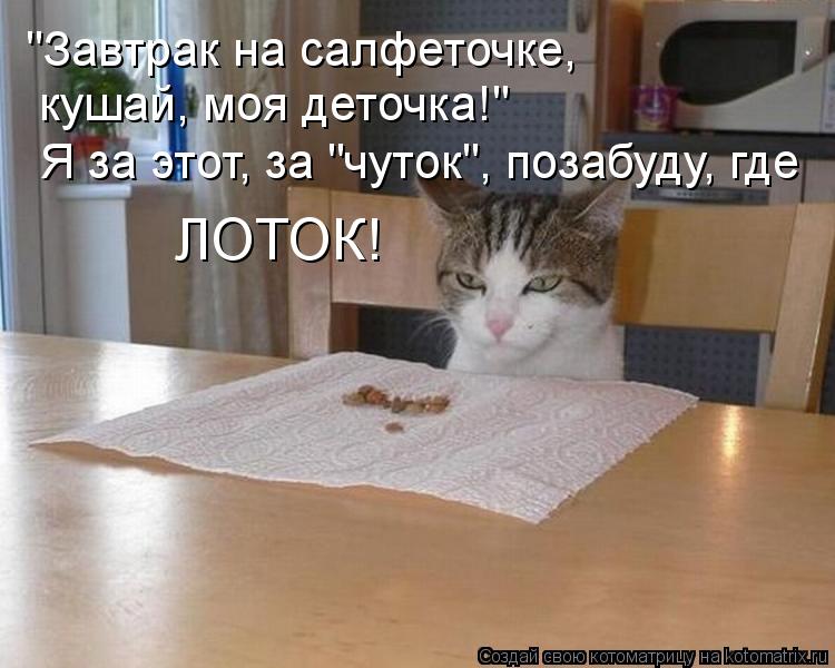 "Завтрак на салфеточке, кушай, моя деточка!" Я за этот, за "чуток", позабуду, где ЛОТОК!... Котоматрица: "Завтрак на салфеточке, кушай, моя деточка!" Я за этот, за "чуток", позабуду, где ЛОТОК!