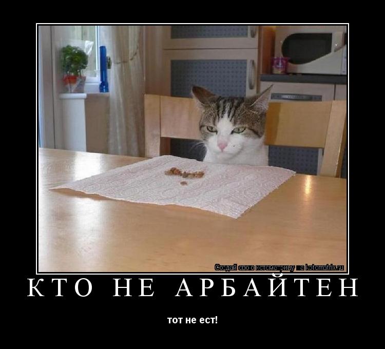 Котоматрица: Кто не арбайтен тот не ест!