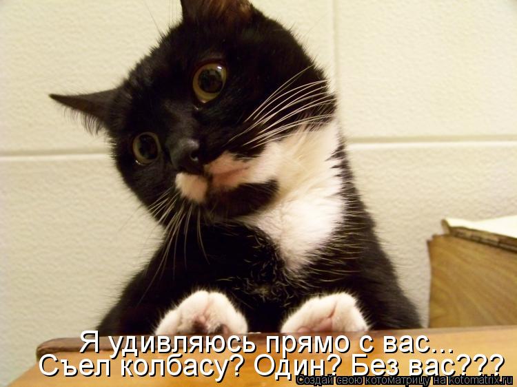 Котоматрица: Я удивляюсь прямо с вас... Съел колбасу? Один? Без вас???