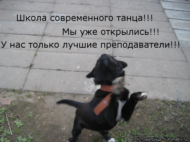 Котоматрица: Школа современного танца!!! Мы уже открылись!!! У нас только лучшие преподаватели!!!