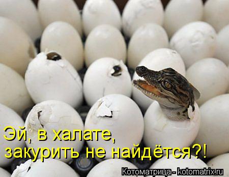 Котоматрица: Эй, в халате, закурить не найдётся?!