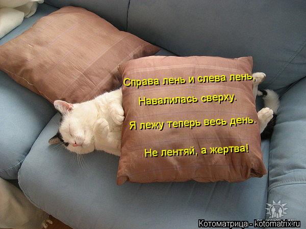 Справа лень и слева лень, Навалилась сверху. Я лежу теперь весь день. Не лентяй, а жертва!... Котоматрица: Справа лень и слева лень, Навалилась сверху. Я лежу теперь весь день. Не лентяй, а жертва!