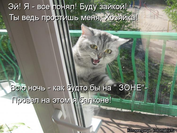 Котоматрица: Эй! Я - все понял! Буду зайкой! Ты ведь простишь меня, Хозяйка! Всю ночь - как будто бы на " ЗОНЕ"- Провел на этом я балконе!