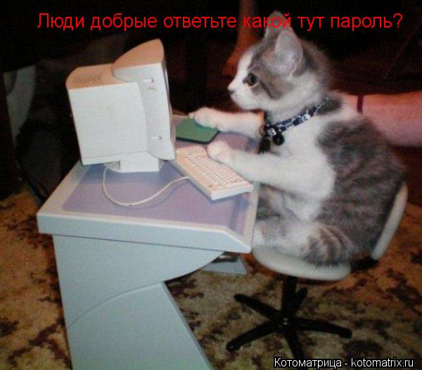 Котоматрица: Люди добрые ответьте какой тут пароль?
