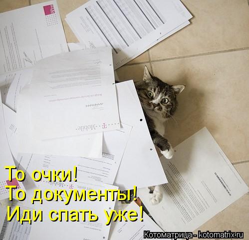 Котоматрица: То очки! То документы! Иди спать уже!