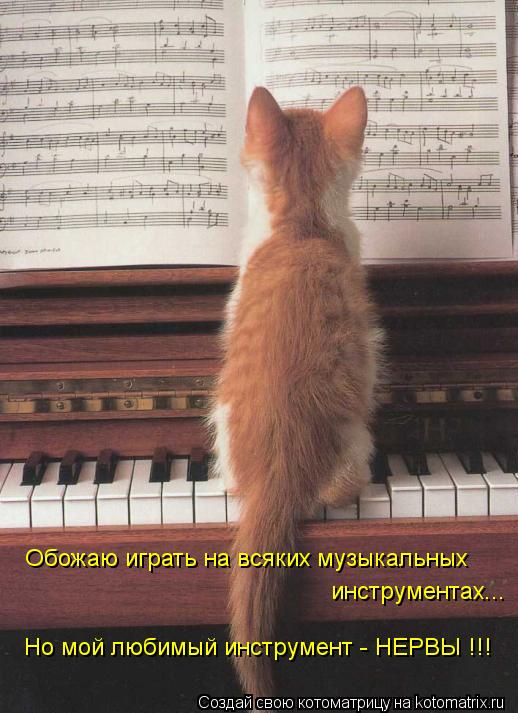 Котоматрица: Обожаю играть на всяких музыкальных  инструментах... Но мой любимый инструмент - НЕРВЫ !!!