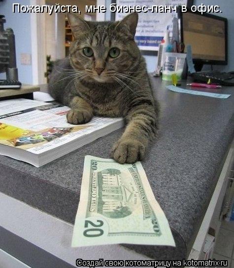 Котоматрица: Пожалуйста, мне биэнес-ланч в офис.